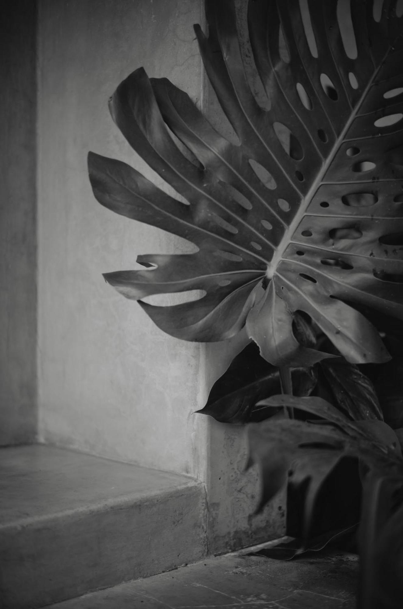 Bed and Breakfast Anzan Atitlan San Marcos La Laguna Exterior foto